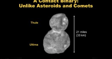 A sonda New Horizons fotografou un asteroide con forma de cabaza de peregrino